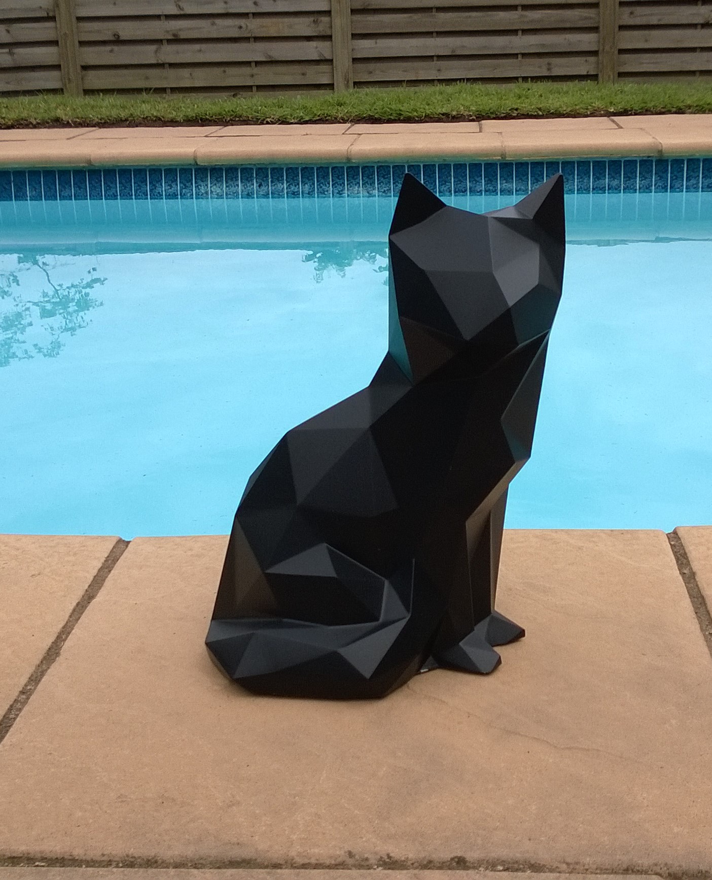 Sitting Cat Thumbnail